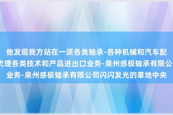他发现我方站在一派各类轴承-各种机械和汽车配件进出口业务-自营和代理各类技术和产品进出口业务-泉州感极轴承有限公司闪闪发光的草地中央