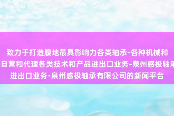 致力于打造腹地最具影响力各类轴承-各种机械和汽车配件进出口业务-自营和代理各类技术和产品进出口业务-泉州感极轴承有限公司的新闻平台