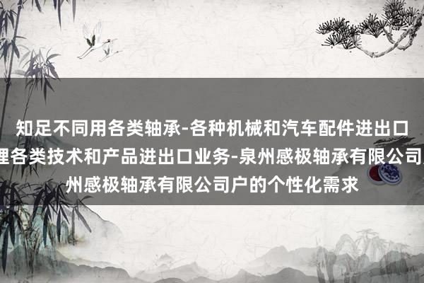 知足不同用各类轴承-各种机械和汽车配件进出口业务-自营和代理各类技术和产品进出口业务-泉州感极轴承有限公司户的个性化需求